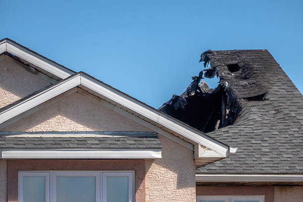 Top rated local Board Up Services specialists in Milaca, MN